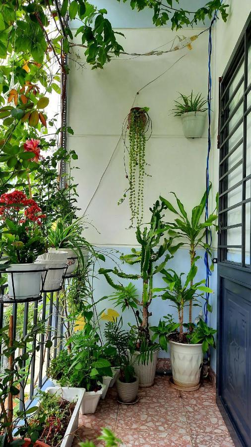 Sena Home 2Nd*Near Danang Han River*Dragon Bridge 外观 照片