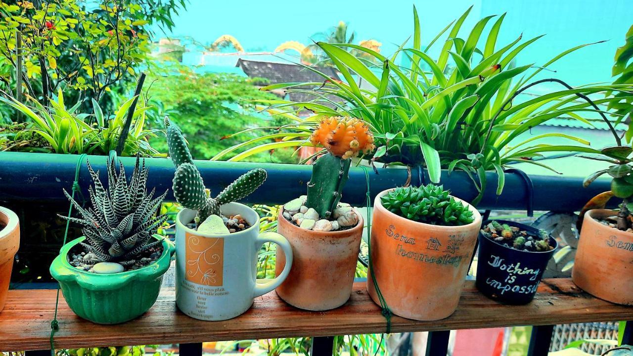 Sena Home 2Nd*Near Danang Han River*Dragon Bridge 外观 照片